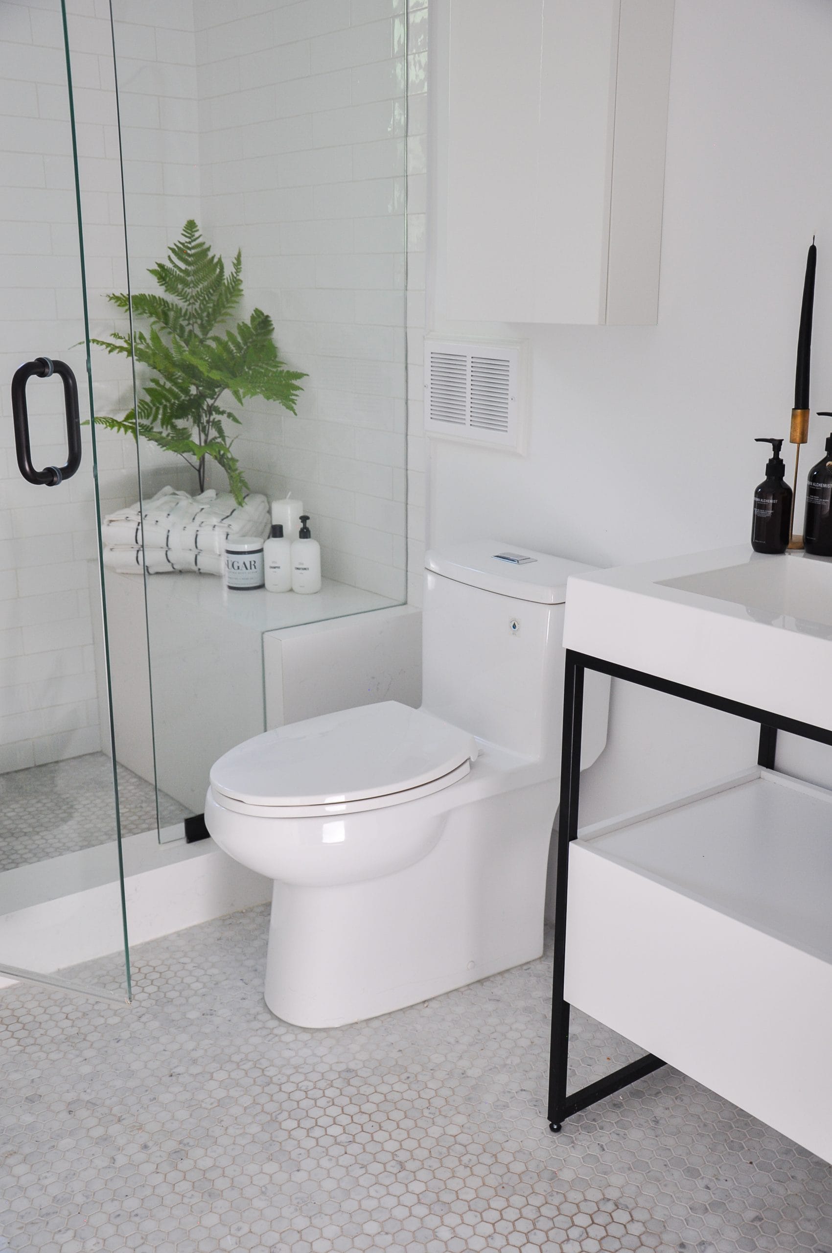 Project-Caroline-New Bathroom Renovation