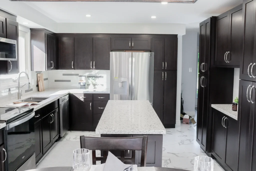 Black and White Kitchen Renovation, Expansion Reno