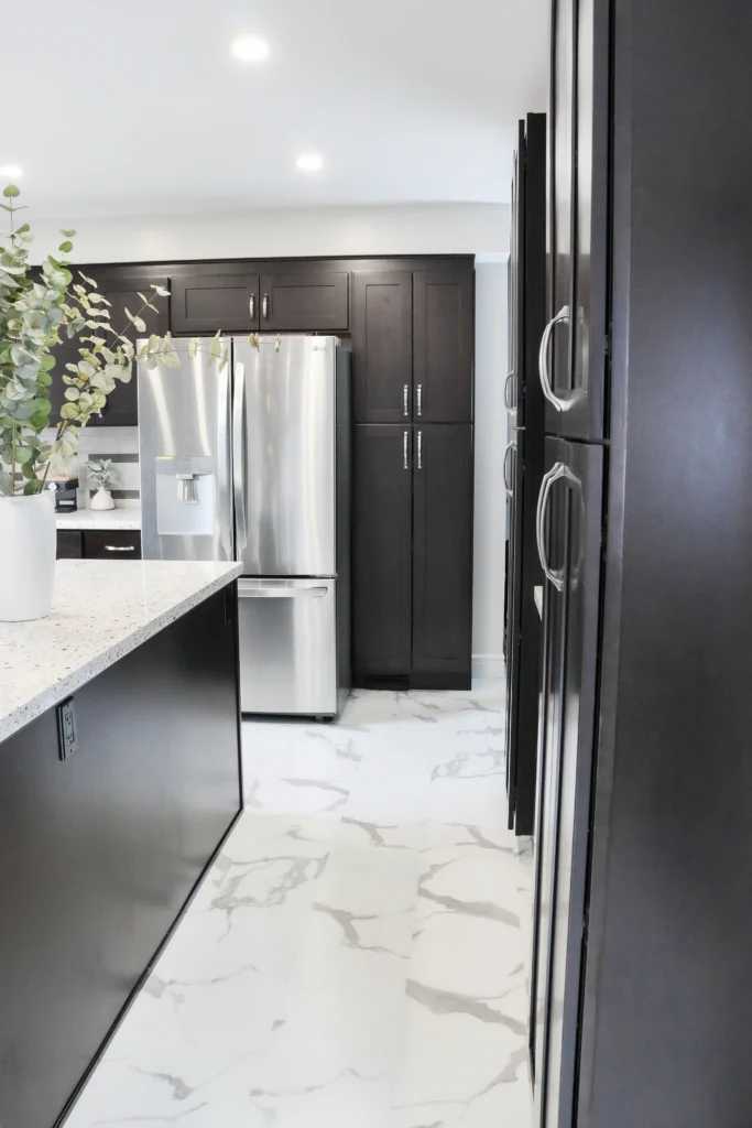Black and White Kitchen Renovation, Expansion Reno