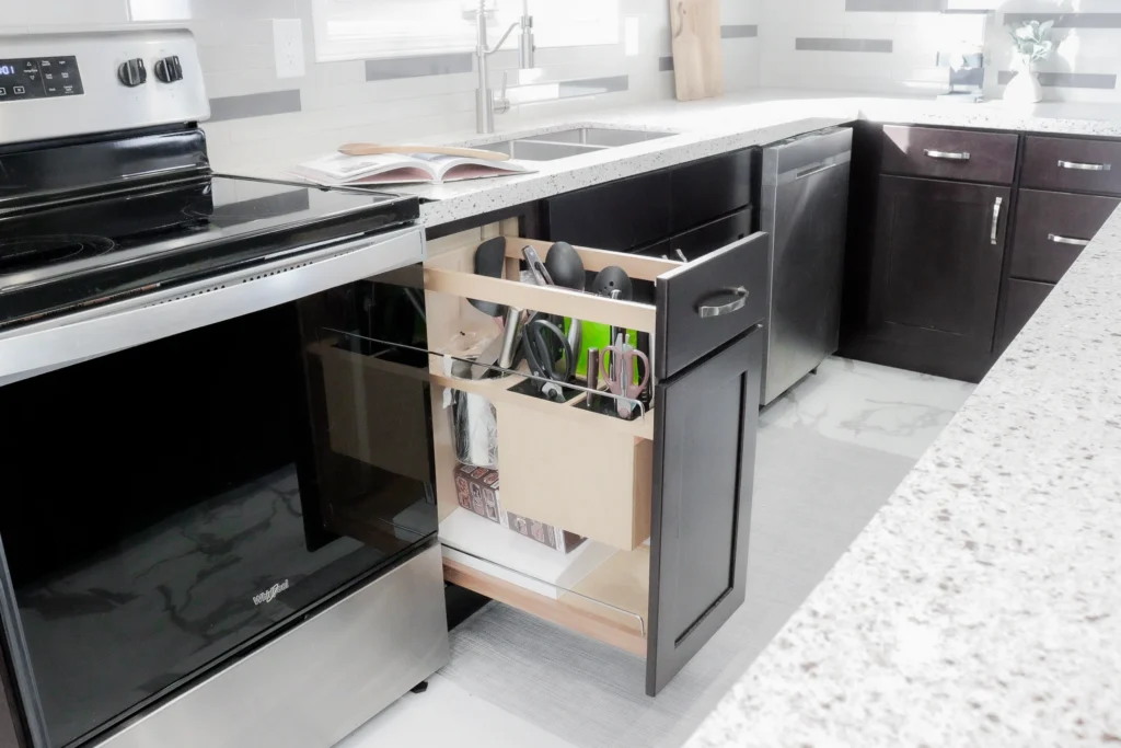 Black and White Kitchen Renovation, Expansion Reno