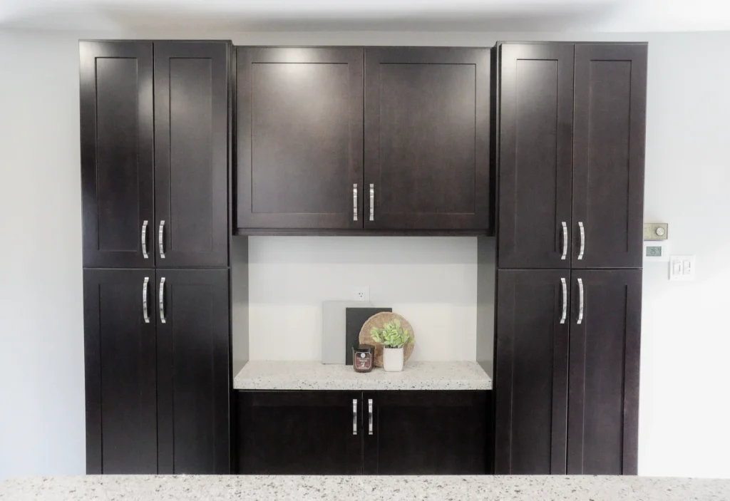 Black and White Kitchen Renovation, Expansion Reno