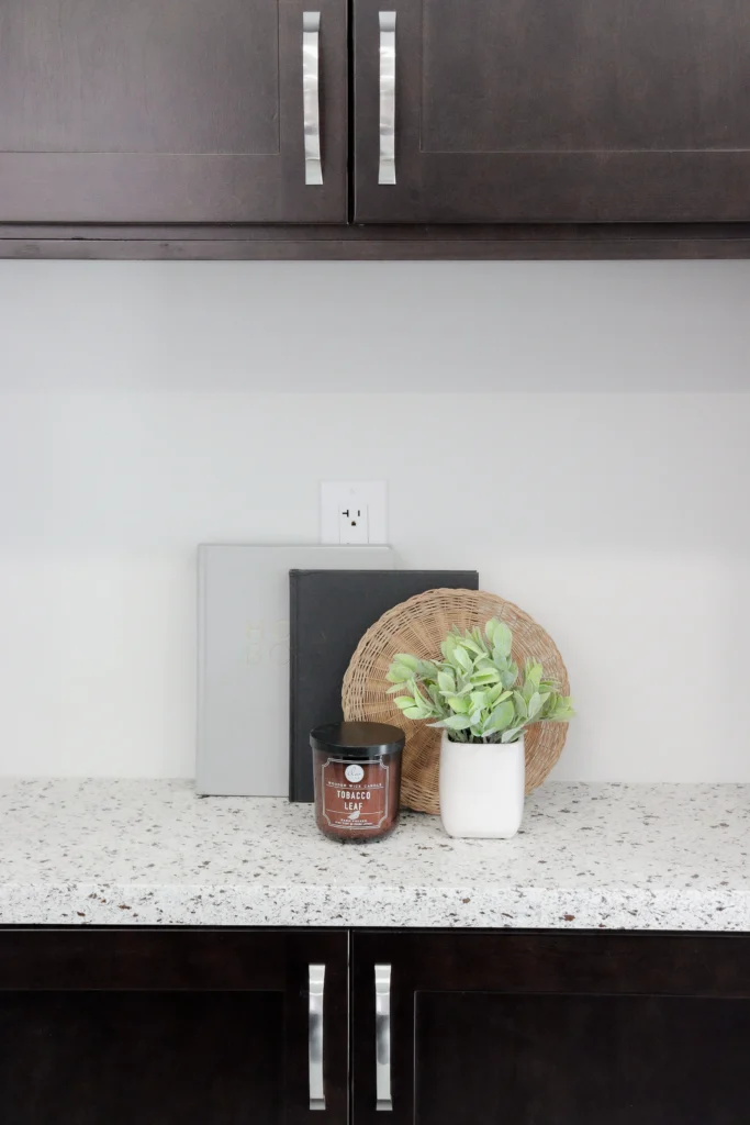 Black and White Kitchen Renovation, Expansion Reno