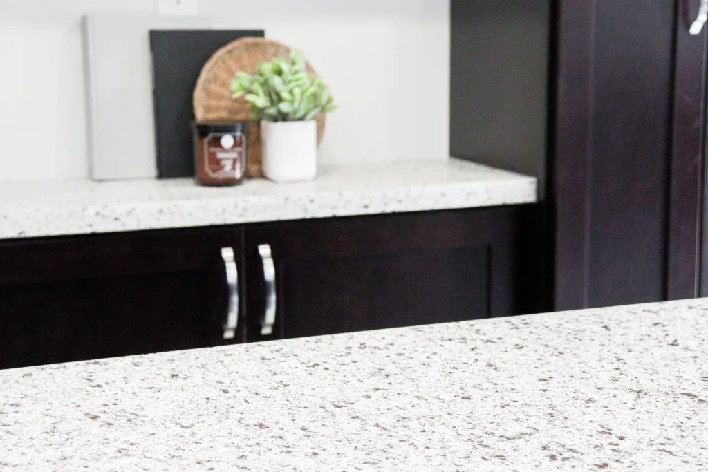 Black and White Kitchen Renovation, Expansion Reno