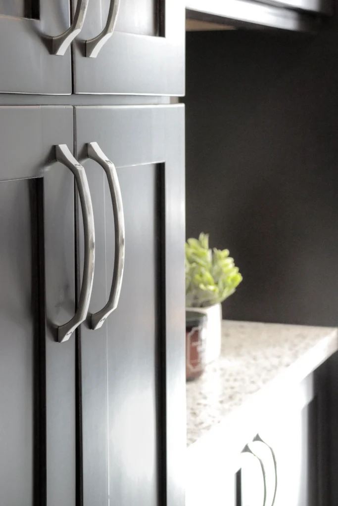 Black and White Kitchen Renovation, Expansion Reno