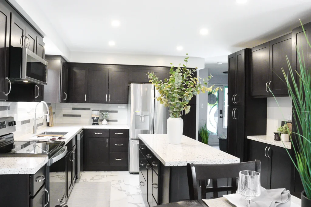 Black and White Kitchen Renovation, Expansion Reno