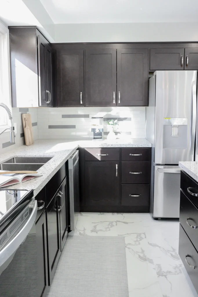 Black and White Kitchen Renovation, Expansion Reno