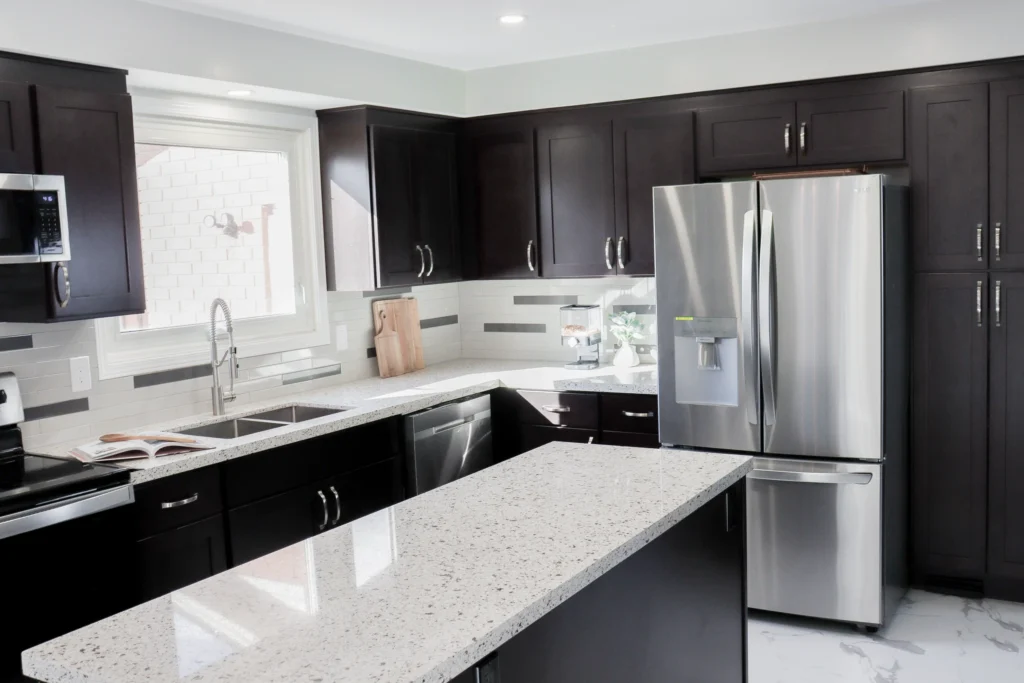 Black and White Kitchen Renovation, Expansion Reno