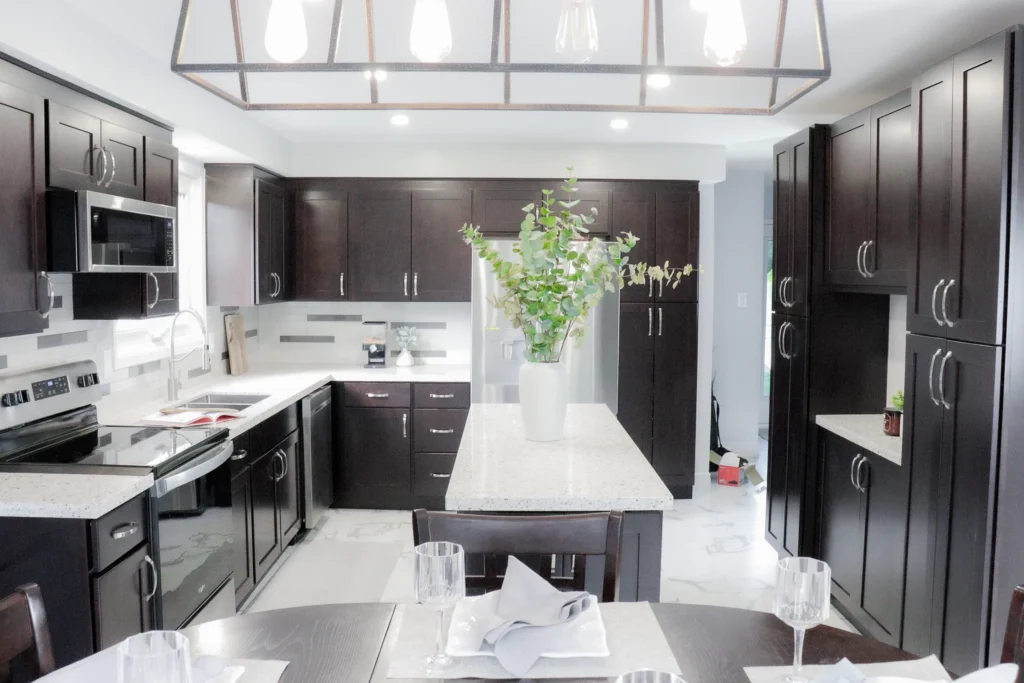 Black and White Kitchen Renovation, Expansion Reno