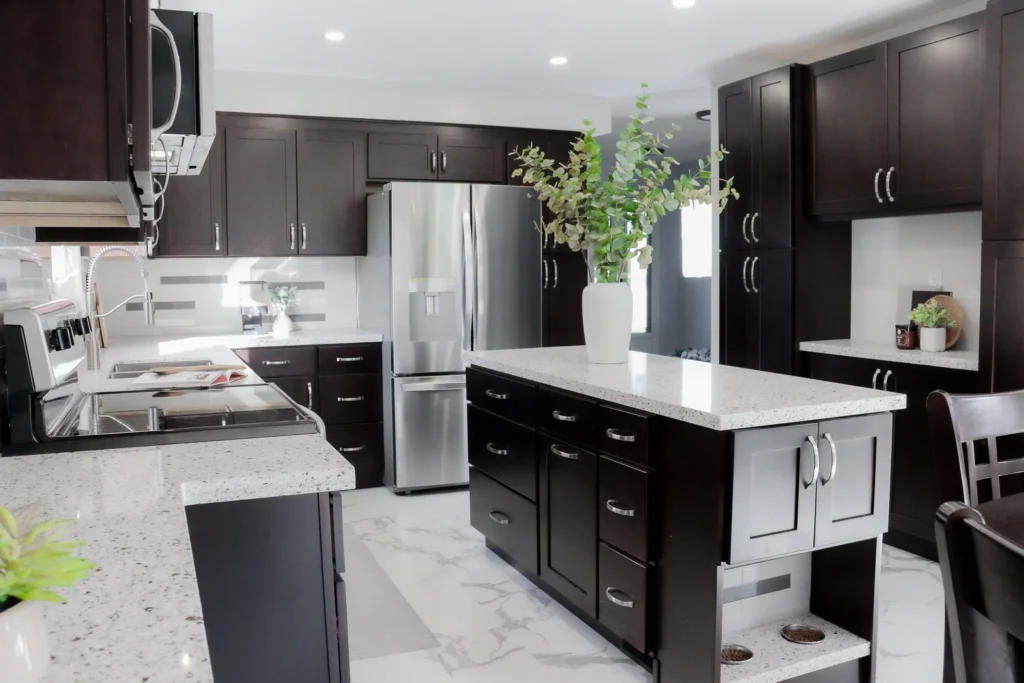 Black and White Kitchen Renovation, Expansion Reno