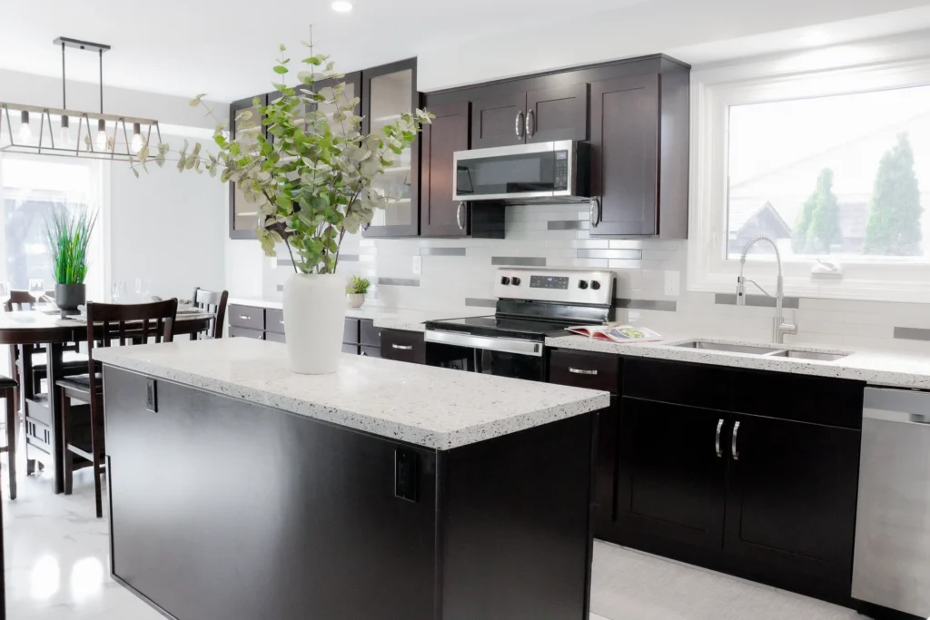 Black and White Kitchen Renovation, Expansion Reno