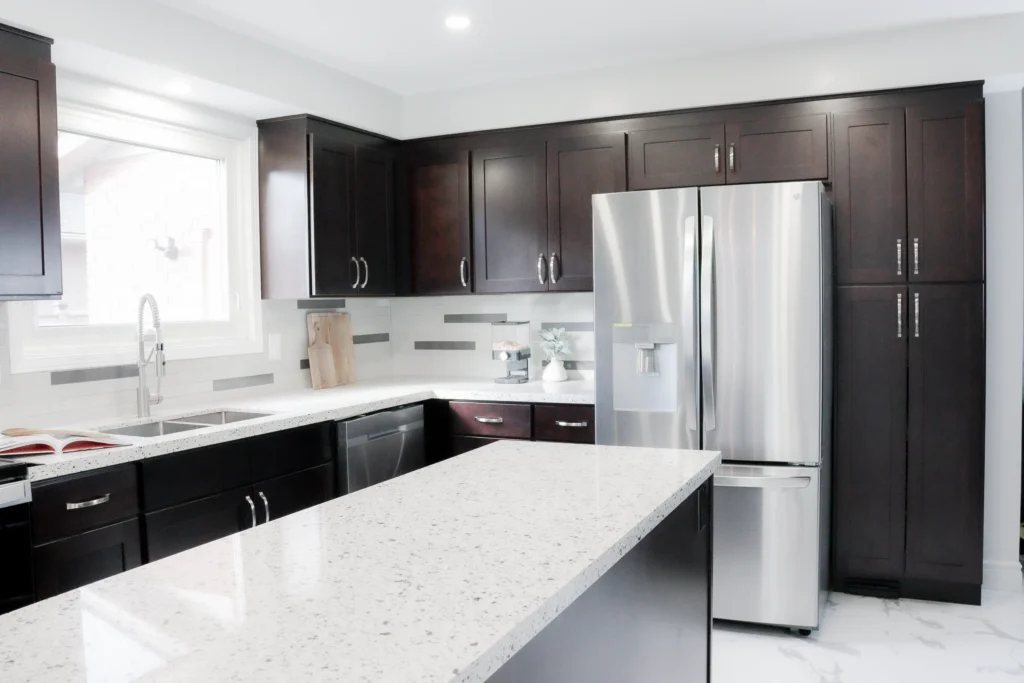 Black and White Kitchen Renovation, Expansion Reno