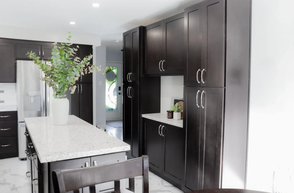 Black and White Kitchen Renovation, Expansion Reno